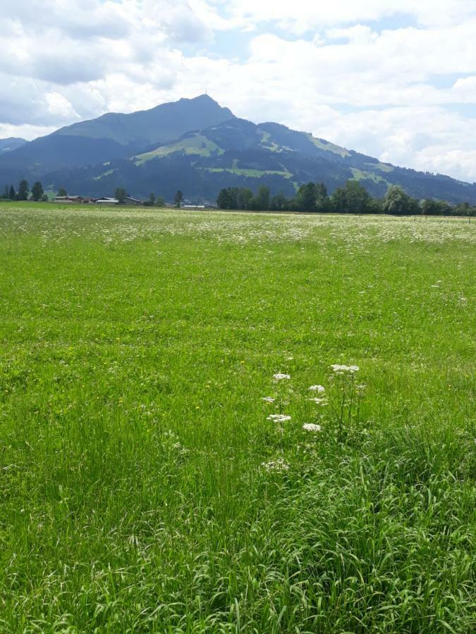 Appartement Muellner Kirchdorf in Tirol Exterior photo
